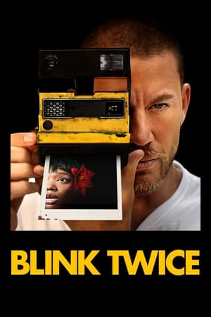 Blink Twice 2024 Hindi Dual Audio HDRip 1080p - 720p - 480p