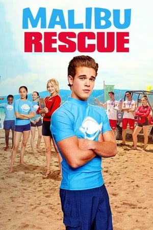 Malibu Rescue (2019) Hindi Dual Audio 480p HDRip 650MB