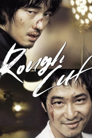 Rough Cut (2008) Hindi Dual Audio 720p BluRay [1GB]