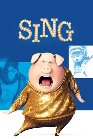 Sing (2016) Hindi Dual Audio 720p BluRay [860MB]